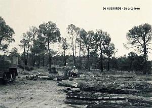 ARBRES 5